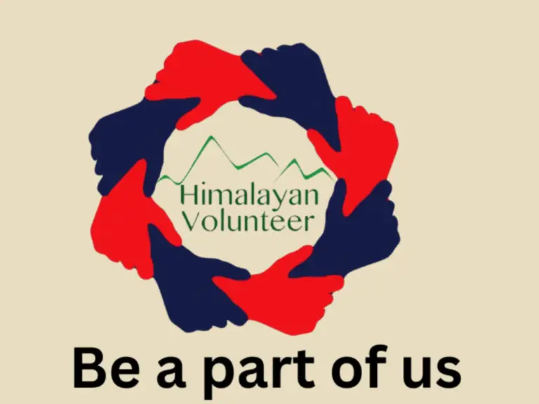 Volunteering Placement (2)